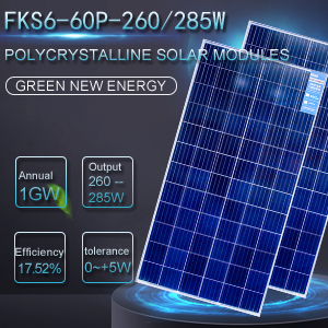 FKS6=60P=260285W POLYCRYSTALPV